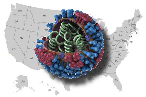 Influenza Virus Map