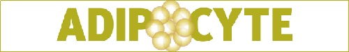 Logo of adipocyte